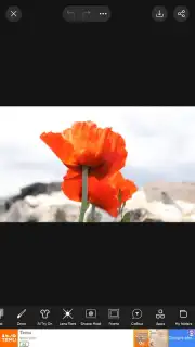 PicsArt скриншот 2