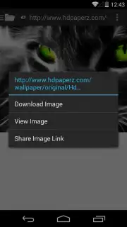 Broloader Video Downloader скриншот 13