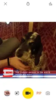 V Camera скриншот 4