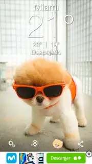 Boo Weather скриншот 3