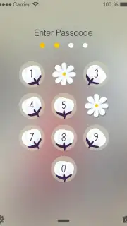 PIP Lock Screen скриншот 23