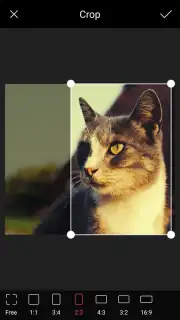 POMELO Camera скриншот 8