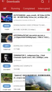 YVideo Downloader скриншот 2