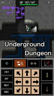 Rogue Hero скриншот 10
