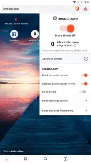Brave Nightly (devs & testers) скриншот 1