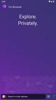 Tor Browser скриншот 21
