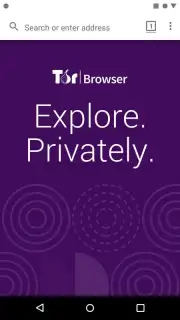 Tor Browser Alpha скриншот 7