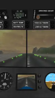 Airplane Pilot Simulator 3D скриншот 3