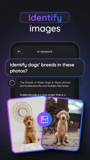 Gemmy AI скриншот 4