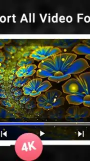 Blueray Video Player скриншот 4