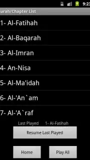 Quran MP3 With Indonesian скриншот 3