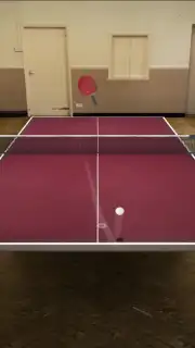 Table Tennis Touch скриншот 8
