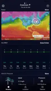 Local Weather Widget скриншот 13