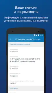 ПФР Электронные сервисы скриншот 2