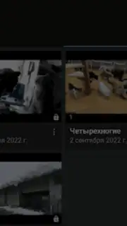 Video App for VK скриншот 10