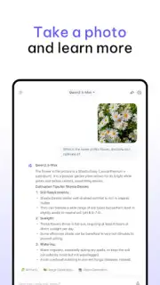 Qwen Chat скриншот 3