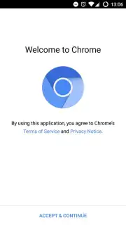 NoChromo скриншот 1