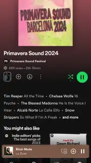 Spotify скриншот 29