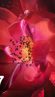 Oppo F7 Launcher - Themes and Wallpapers скриншот 2