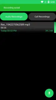Hidden Voice Recorder скриншот 5
