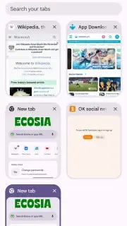 Chrome Beta скриншот 19