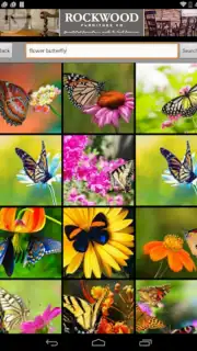 Butterfly Flower for DoodleTex скриншот 3