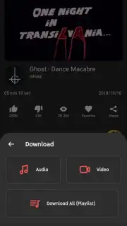 SongTube скриншот 6