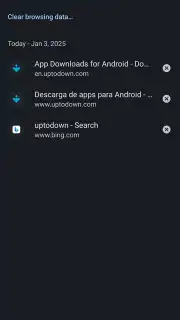 Kiwi Browser скриншот 4