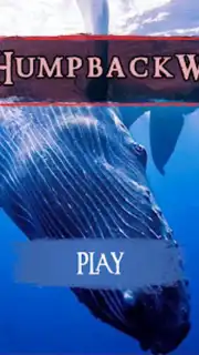 The Humpback Whales скриншот 4