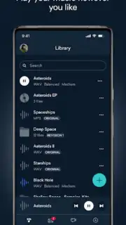LANDR скриншот 6