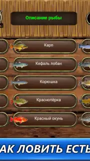 Рыбный дождь скриншот 1