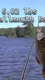 i Fishing 3 Lite скриншот 2