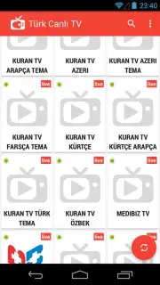Turkish Live TV скриншот 3