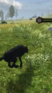 Wild Life: Wolf Clan скриншот 12