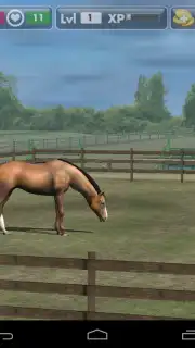 My Horse скриншот 8