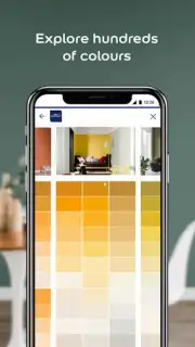 Dulux Visualizer IN скриншот 4