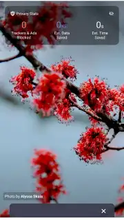 Brave Browser (Beta) скриншот 1