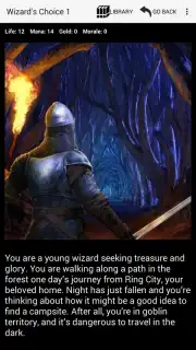 Medieval Fantasy RPG скриншот 6