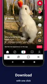 Video Downloader скриншот 1