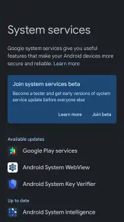 Google Mobile Services (GMS) скриншот 4