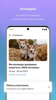 WB Team скриншот 1