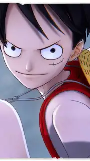 One Piece: Codename Partner скриншот 1