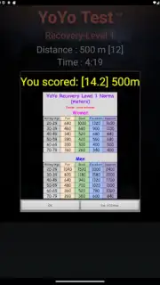 Yo-Yo Test скриншот 10