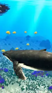 The Humpback Whales скриншот 15