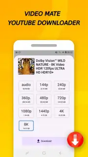 Vidora YouTube Downloader | free & fast скриншот 13