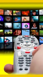 Universal Remote Control TV Pro скриншот 2