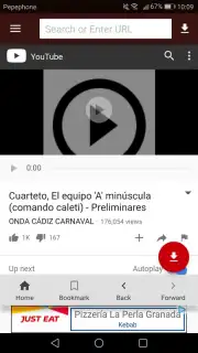 VidCatch скриншот 4