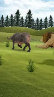 Lion Simulator Animal Games 3d скриншот 2