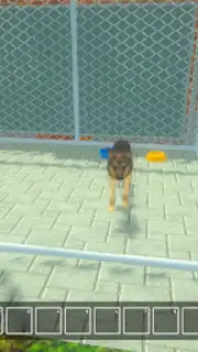 Animal Shelter Pet World Life скриншот 4