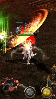 Divine Raid скриншот 3